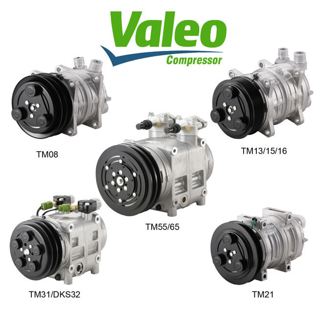 Valeo TM16/21/31/43/55/65 Compressors 